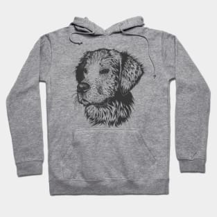 Dog Hoodie